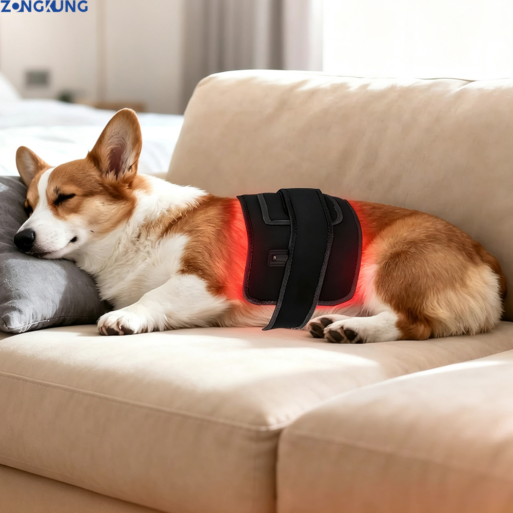 جهاز علاج بالضوء الأحمر للحيوا - مراجعة Red Light Therapy Panel 660 850 وسعره